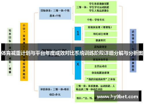 体育减重计划与平台年度成效对比系统训练阶段详细分解与分析图