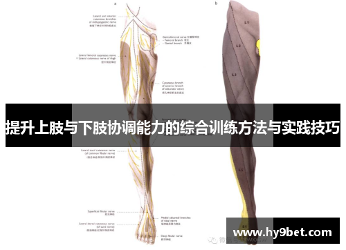 提升上肢与下肢协调能力的综合训练方法与实践技巧